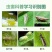 75%噻虫嗪内吸性烟碱类杀虫剂水稻稻飞虱蚜虫蓟马绿叶蝉