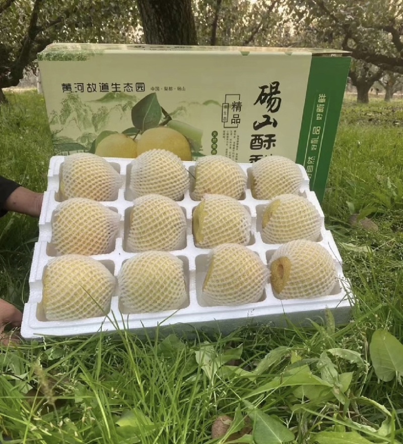砀山酥梨保证质量，价格低，质量好，甜度高。