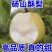 砀山酥梨保证质量,价格低,质量好,甜度高。