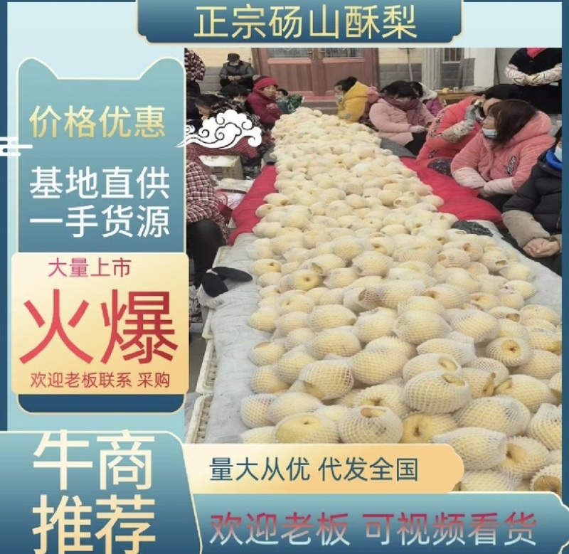 砀山酥梨保证质量，价格低，质量好，甜度高。