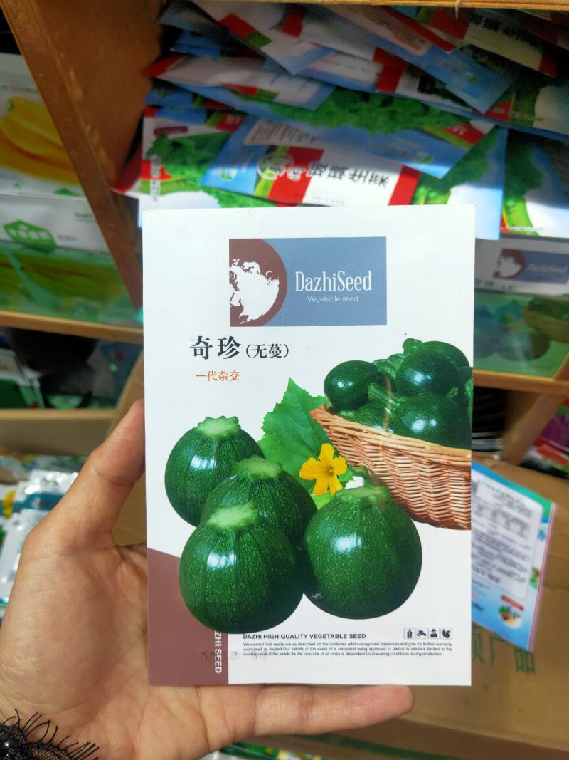 早熟奇珍无蔓西葫芦种子圆西葫芦籽抗热抗病四季种植蔬菜种子