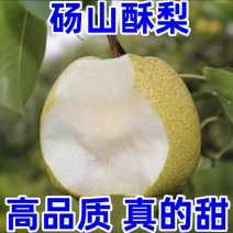砀山酥梨保证质量，价格低，质量好，甜度高。