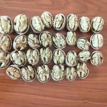 新疆核桃