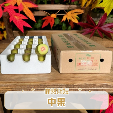 2.5斤红阳红心猕猴桃电商果产地直发售后无忧