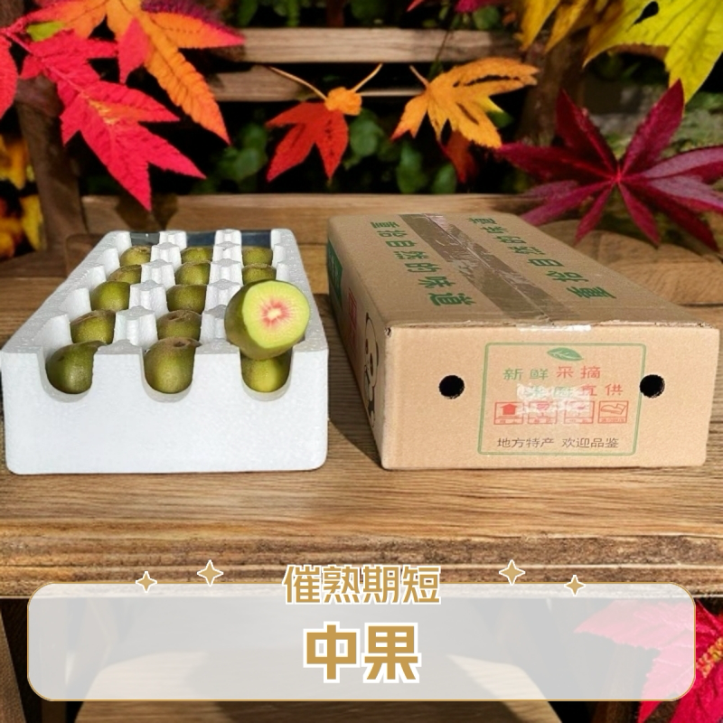 2.5斤红阳红心猕猴桃电商果产地直发售后无忧