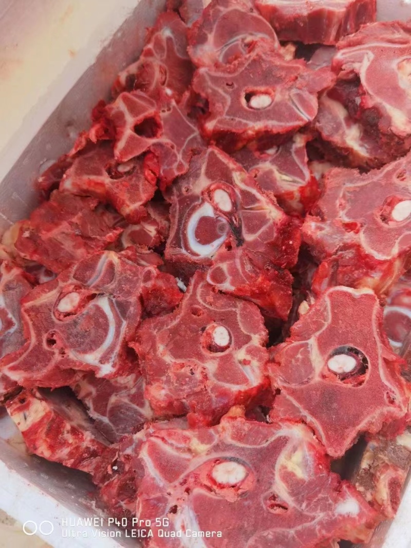 马蝎子