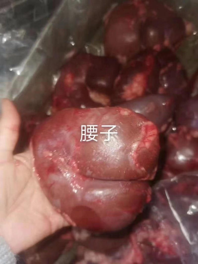 马腰子