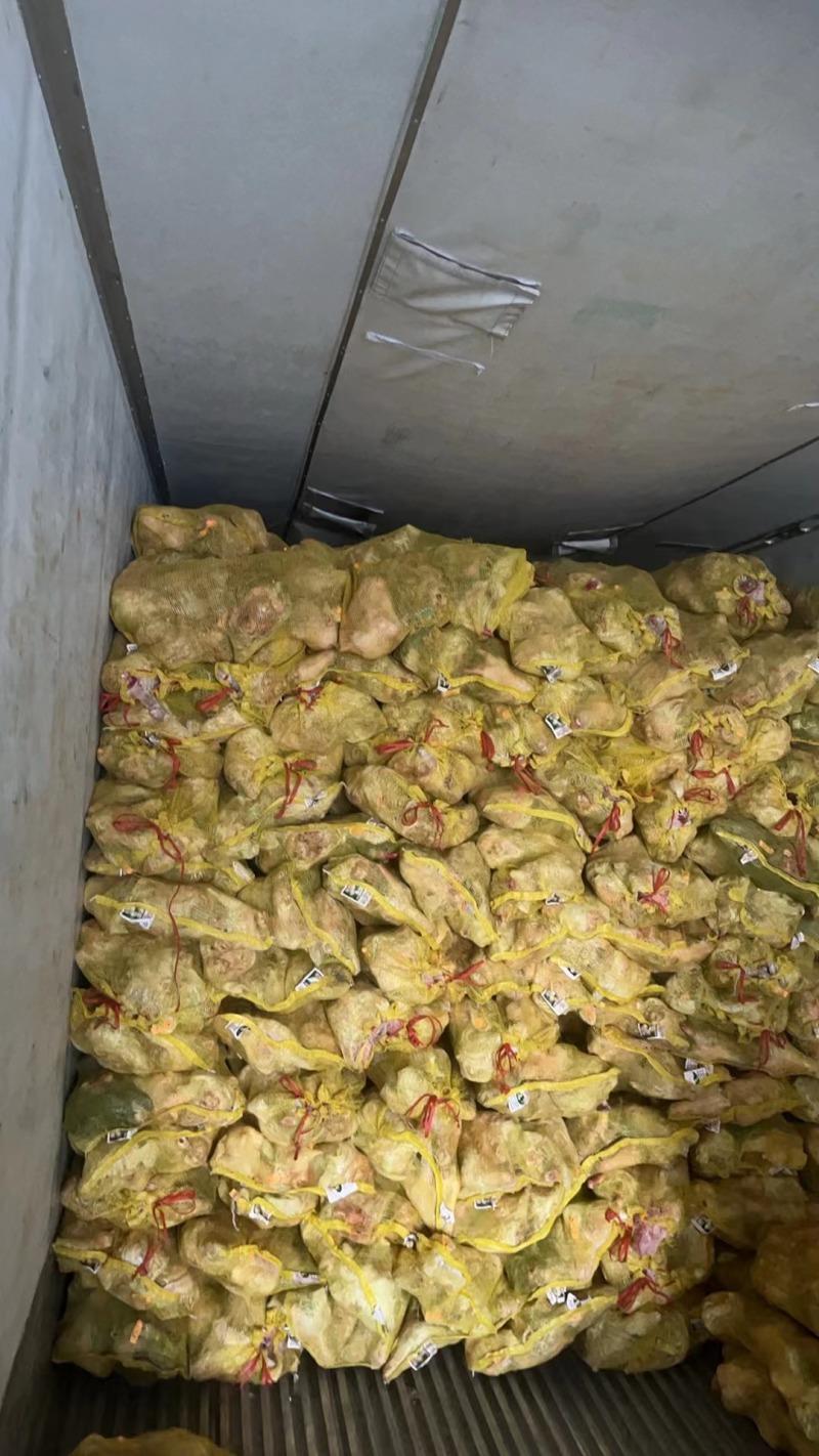 山羊头毛头羊头量大质优一手产地发货
