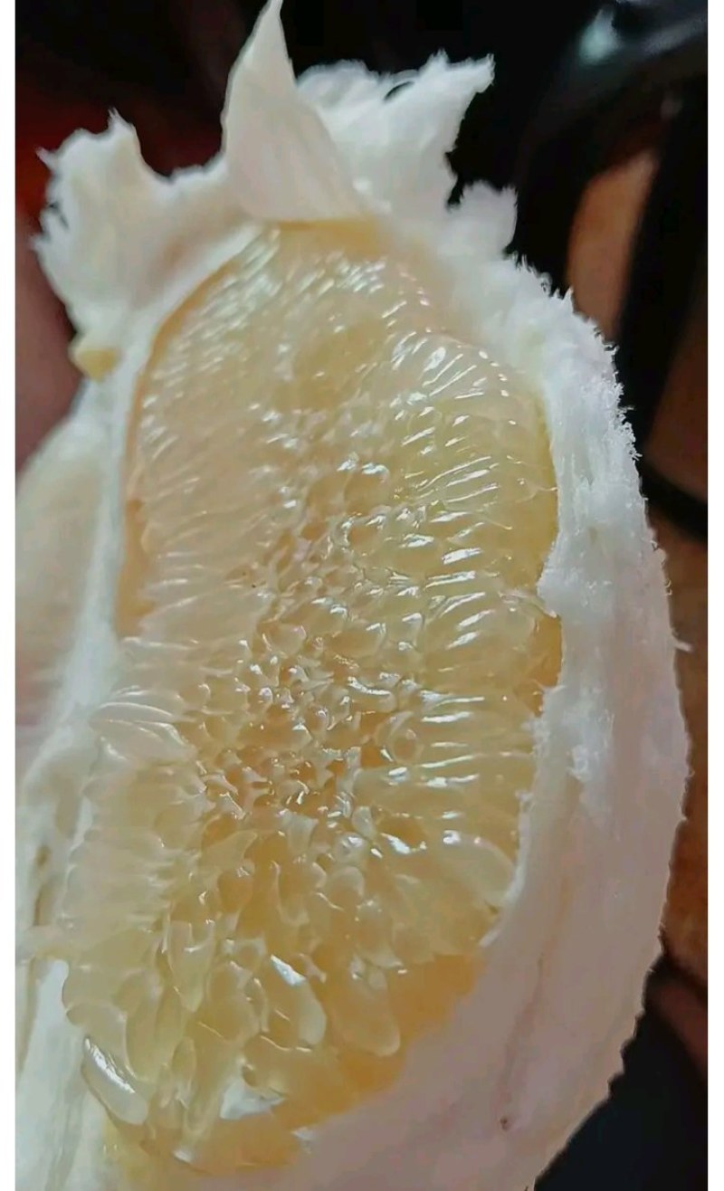 乐山白心柚大量有货，对接电商，商超市场