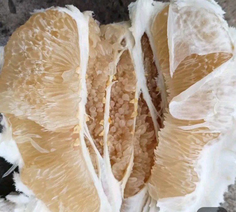 乐山白心柚大量有货，对接电商，商超市场