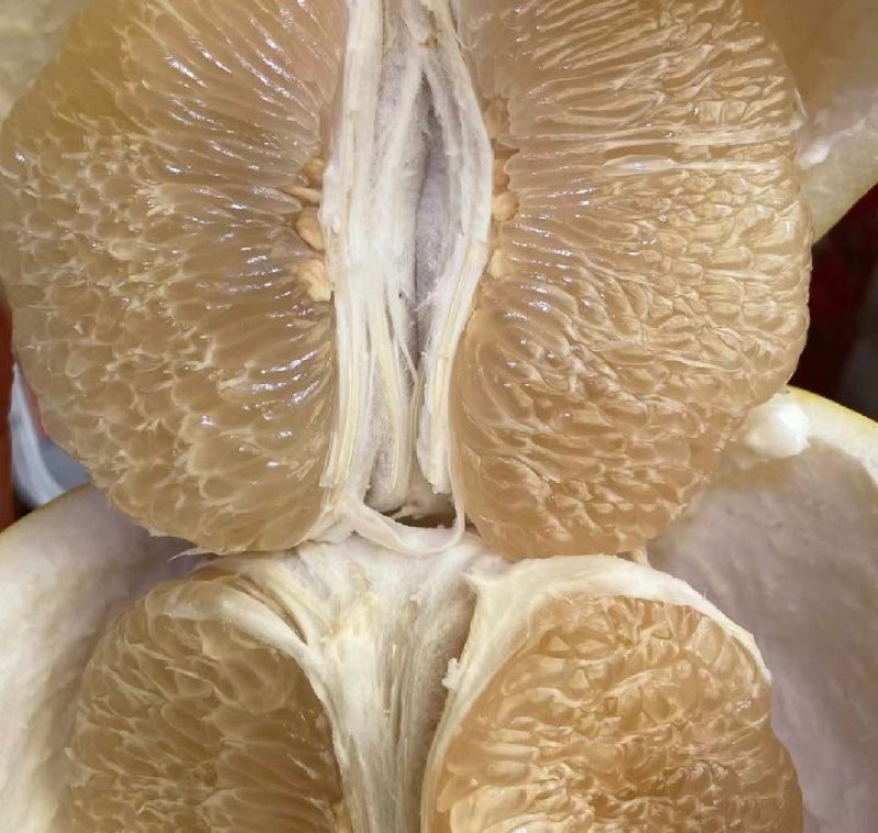 乐山白心柚大量有货，对接电商，商超市场