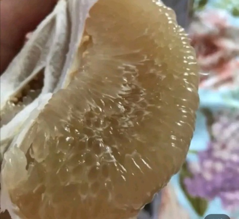 乐山白心柚大量有货，对接电商，商超市场