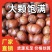熟榛子，大榛子，自己家大榛子平欧榛子批发榛子原味榛子货源