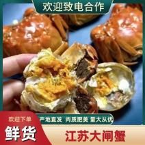 【江苏大闸蟹】节日送礼佳品，肉质细嫩新鲜，对接批发