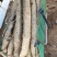 广西贺州精品淮山药大量供应，基地直发新鲜采摘量大从优
