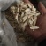 黄芪斜片指各种规格都有，自家自种自收货真价实