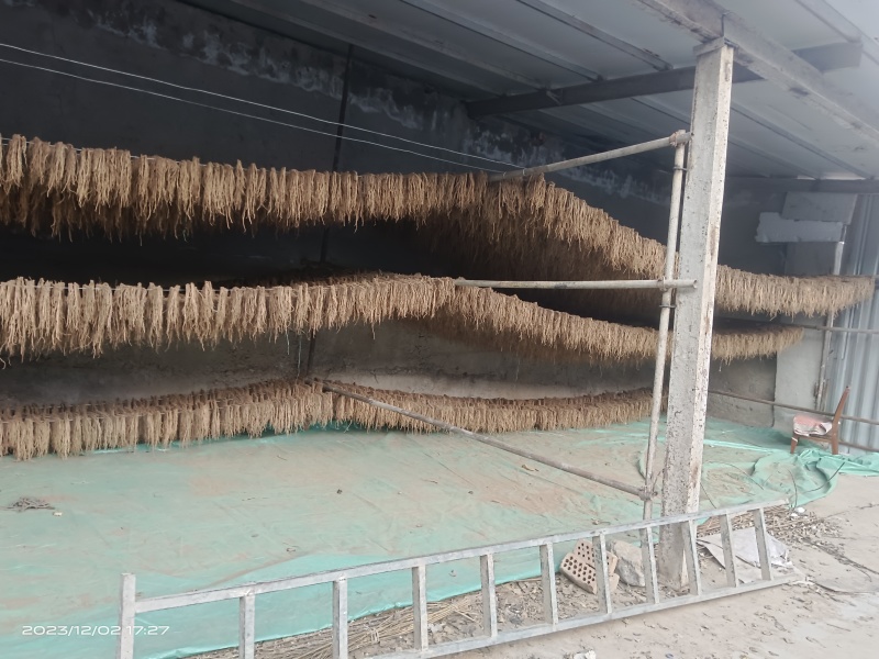 白条党参，自种自收，无任何添加，无流，货真价实，假一赔十