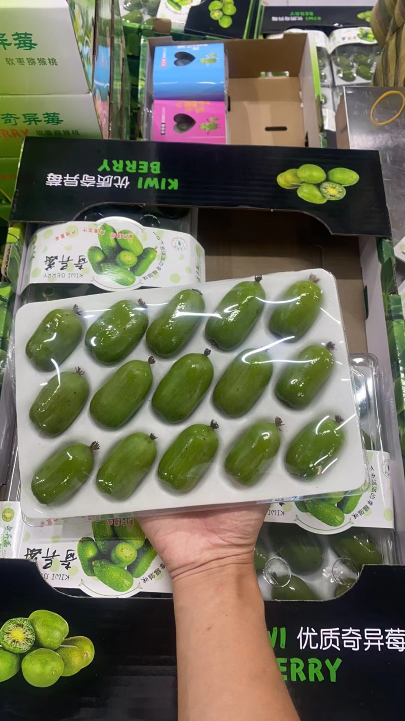 软枣猕猴桃，大量有货对接全国市场电商平台