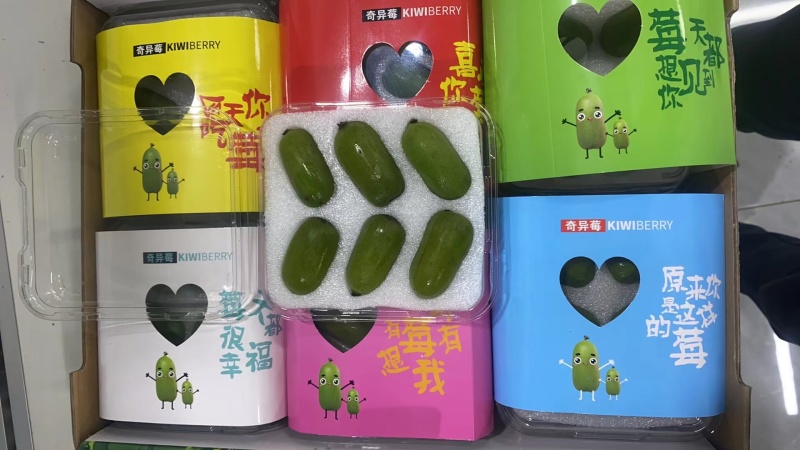 软枣猕猴桃，大量有货对接全国市场电商平台