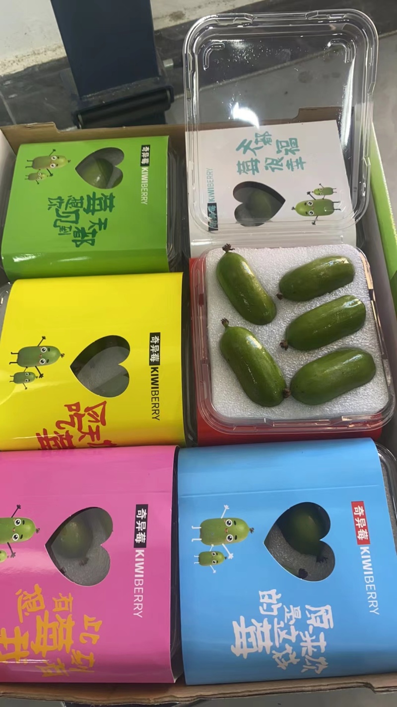 软枣猕猴桃，大量有货对接全国市场电商平台