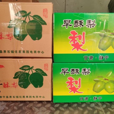 甘肃静宁早酥梨，皮薄肉细，香甜可口