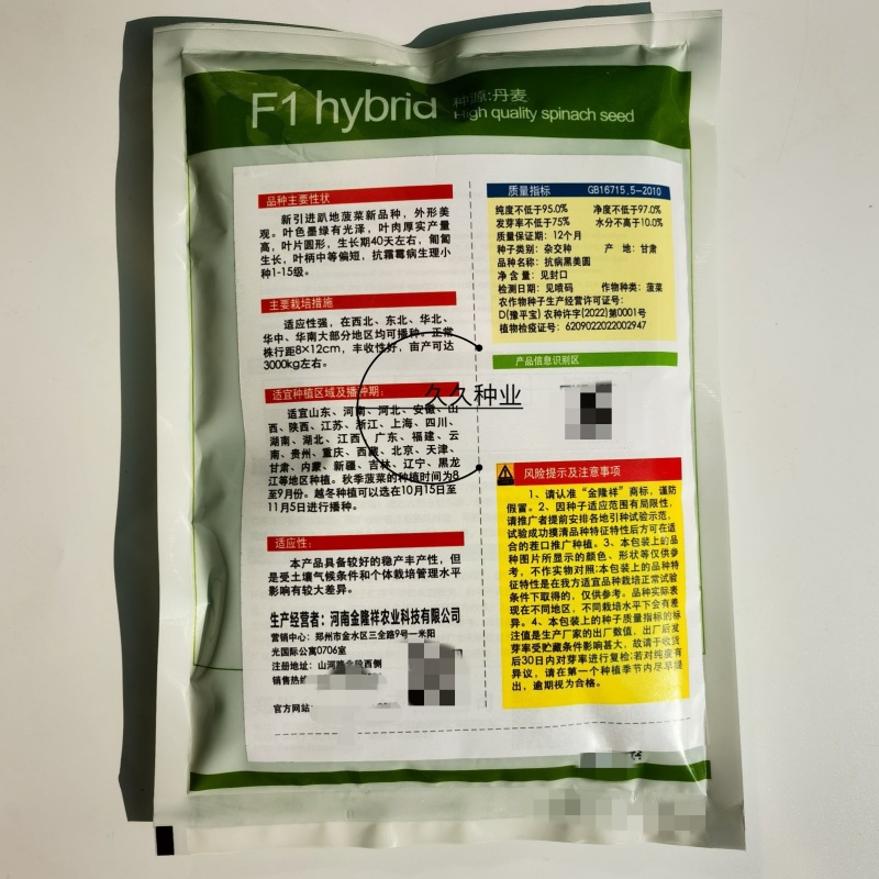 抗病黑美圆趴地菠菜种子叶色墨绿圆叶厚肉生长快速高产