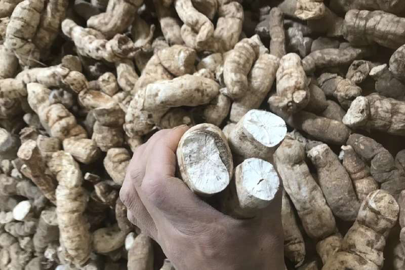 粉防己片~江西野生粉防己~长期合作请联系