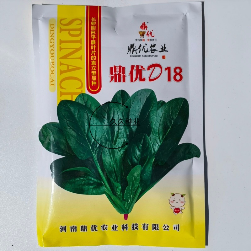 鼎优D18进口直立菠菜种子中熟产量高长势强高产抗病耐寒