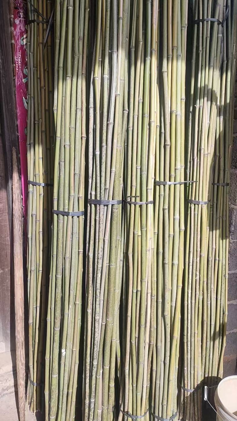 广西省贺州市富川县精品竹子大量供应，量大从优规格齐全