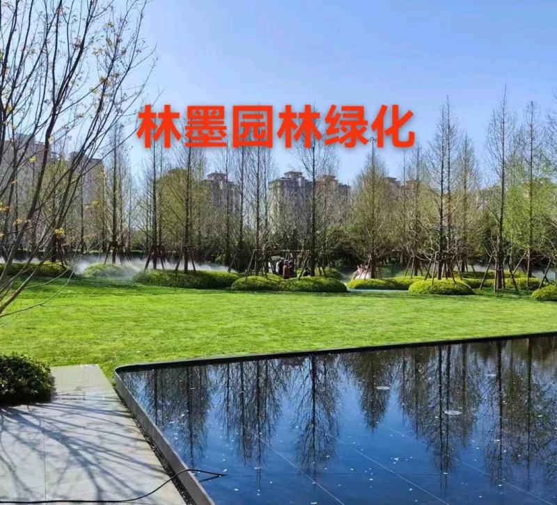 沙培草坪，足球场草坪，基地直发品质有保证