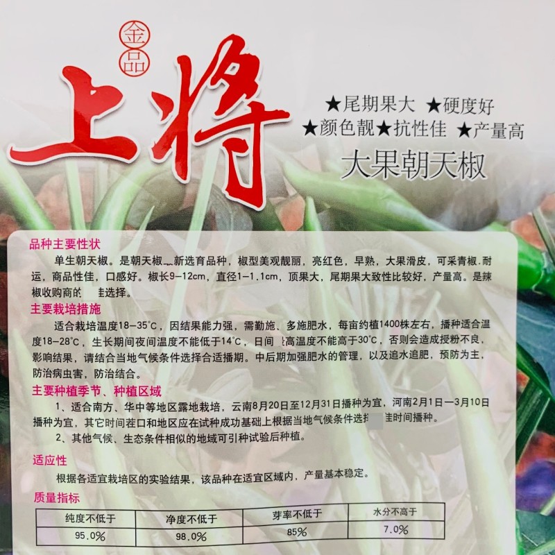 新品种上将朝天椒种子大果型朝天椒种籽青红两用辣度高硬度好