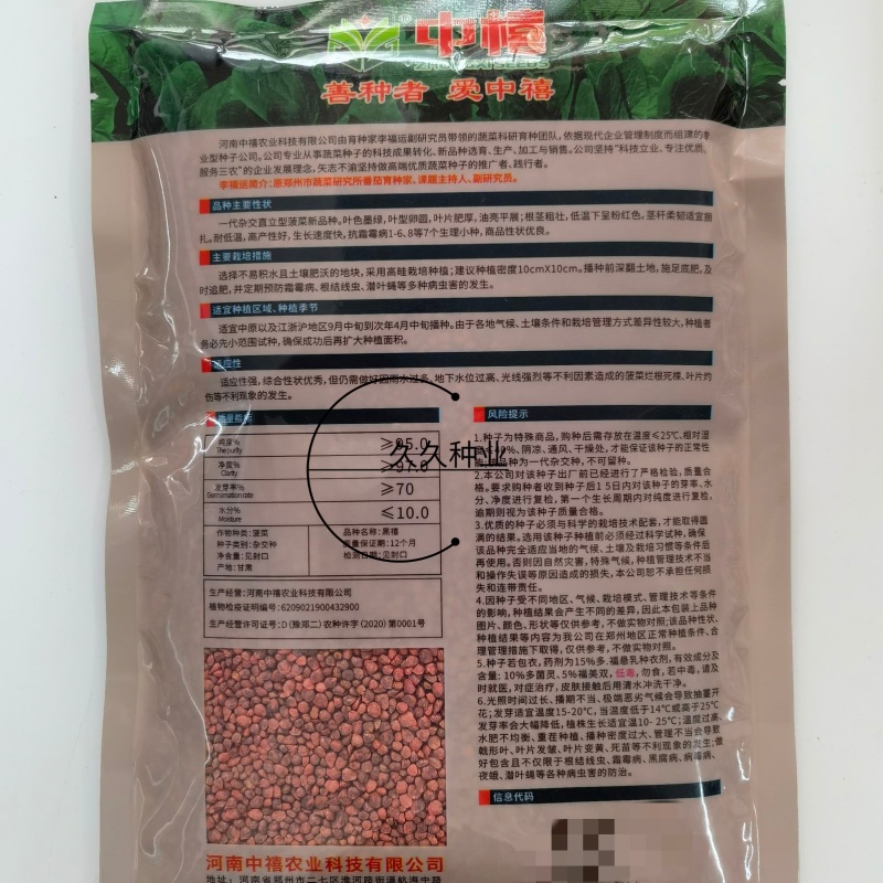 黑禧一代杂交菠菜种子叶色墨绿叶片肥厚耐低温高产生长快