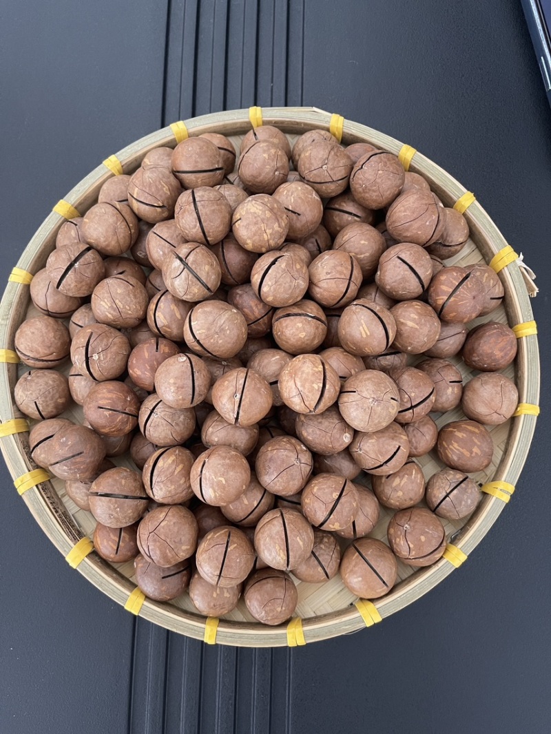 奶香味夏威夷果皮薄肉厚新货批发零售