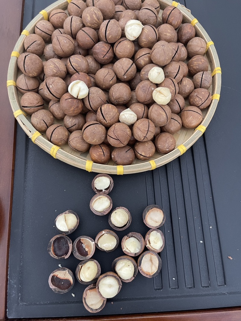 奶香味夏威夷果皮薄肉厚新货批发零售