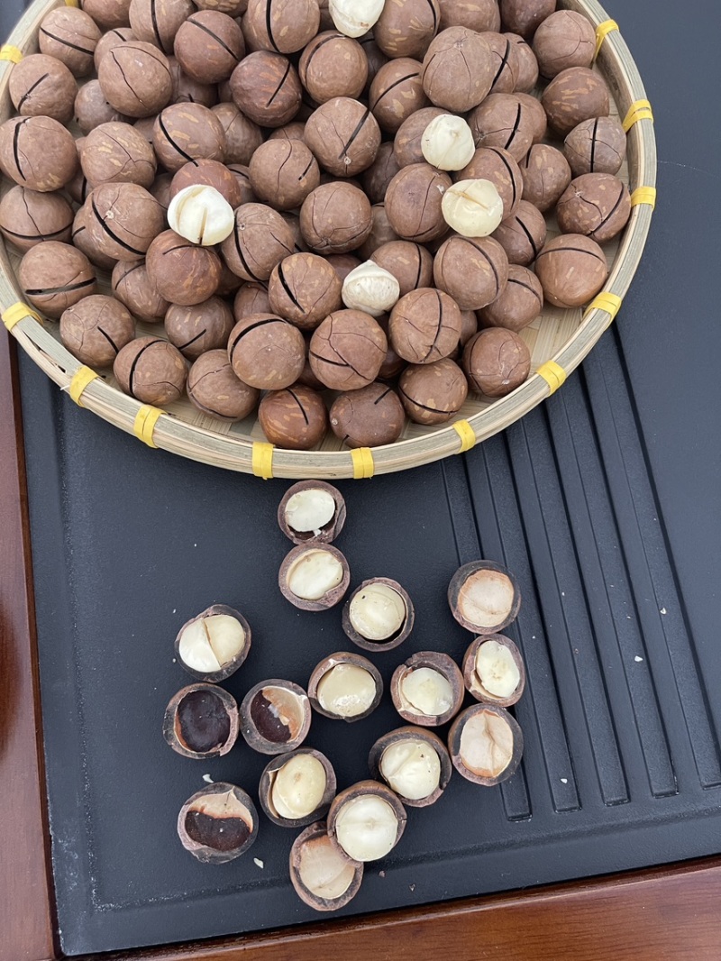 奶香味夏威夷果皮薄肉厚新货批发零售