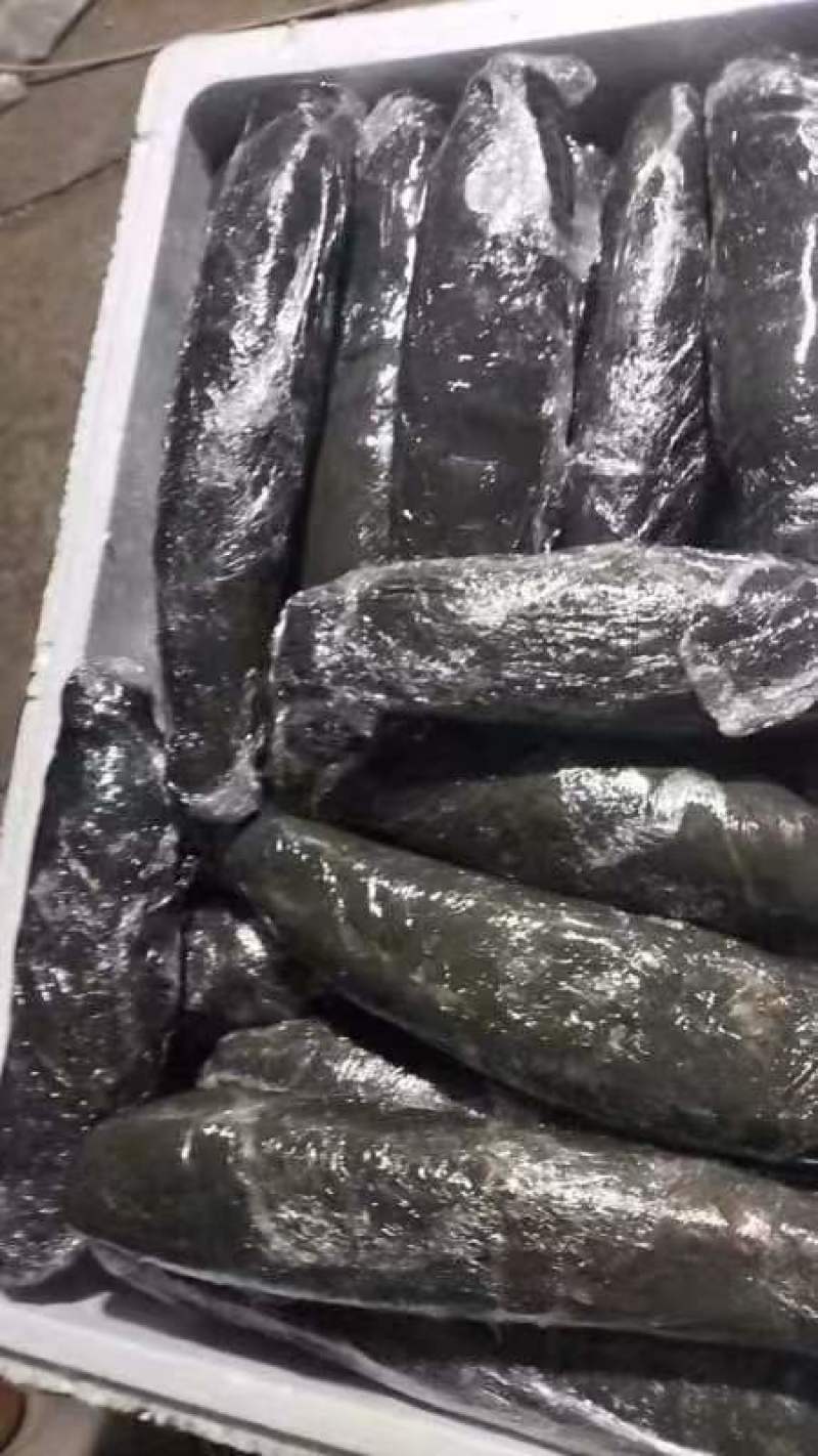工厂直供湖北精品薄膜藕货源充足可持续供货欢迎咨询