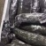 工厂直供湖北精品薄膜藕货源充足可持续供货欢迎咨询
