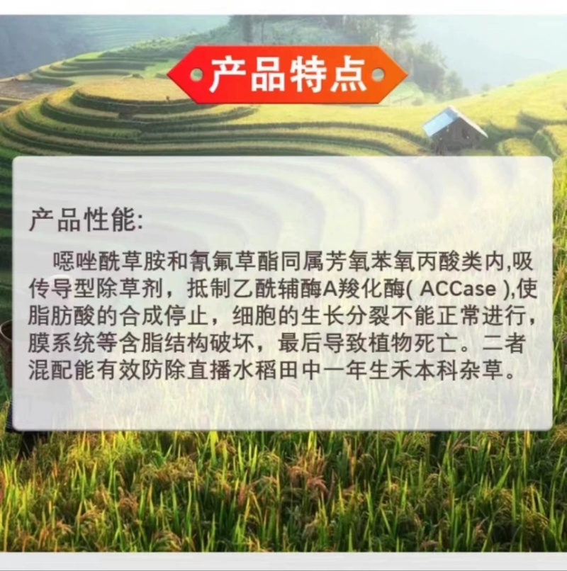 40%噁唑氰氟草酯恶唑酰草胺水稻苗后除草剂除一年生杂草