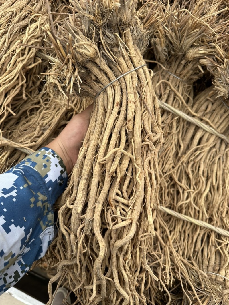 关防风统货甘肃产地直发品质保证各规格齐全，批发零售