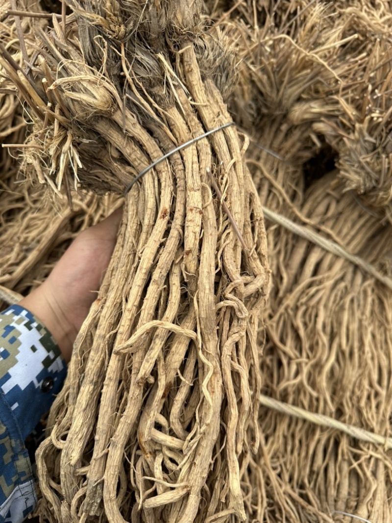 关防风统货甘肃产地直发品质保证各规格齐全，批发零售