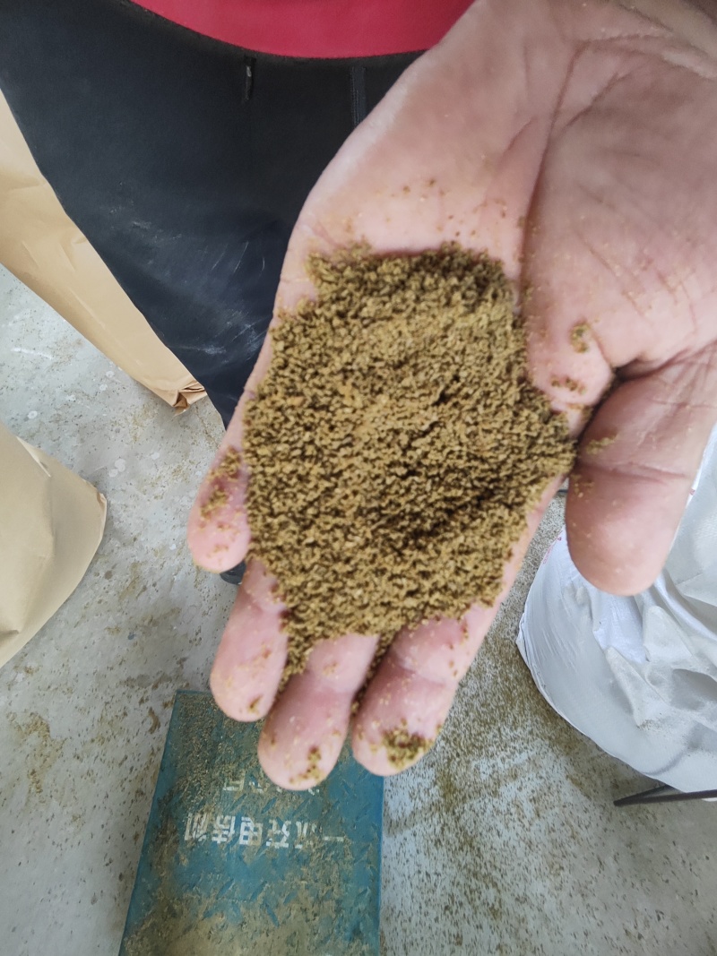过油孜然碎辅料孜然粉辅料孜然