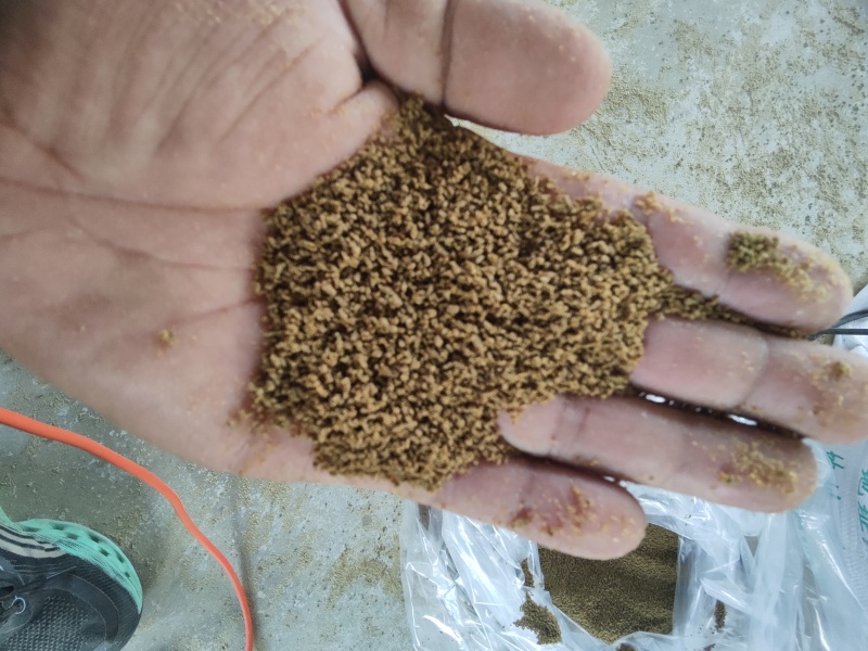 过油孜然碎辅料孜然粉辅料孜然