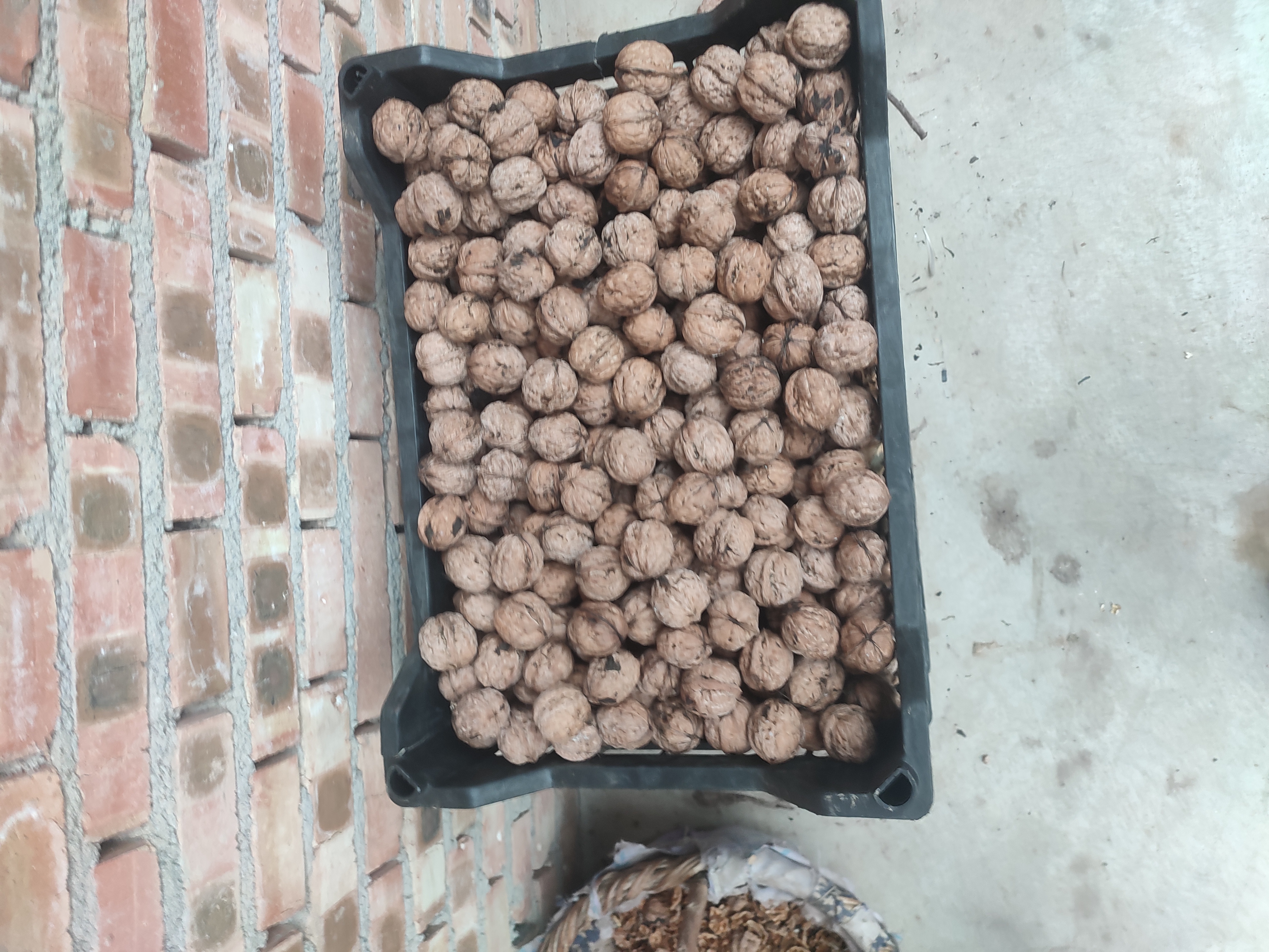 核桃红枣打浆过程图