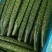 【实力密刺黄瓜】大量现货，质量保证，价格实惠，欢迎来咨询