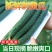 【实力密刺黄瓜】大量现货，质量保证，价格实惠，欢迎来咨询