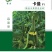 无刺黄瓜种子，荷兰引进，抗病强，产量高，表面光滑无刺