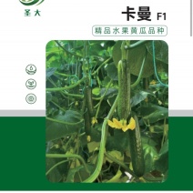 无刺黄瓜种子，荷兰引进，抗病强，产量高，表面光滑无刺