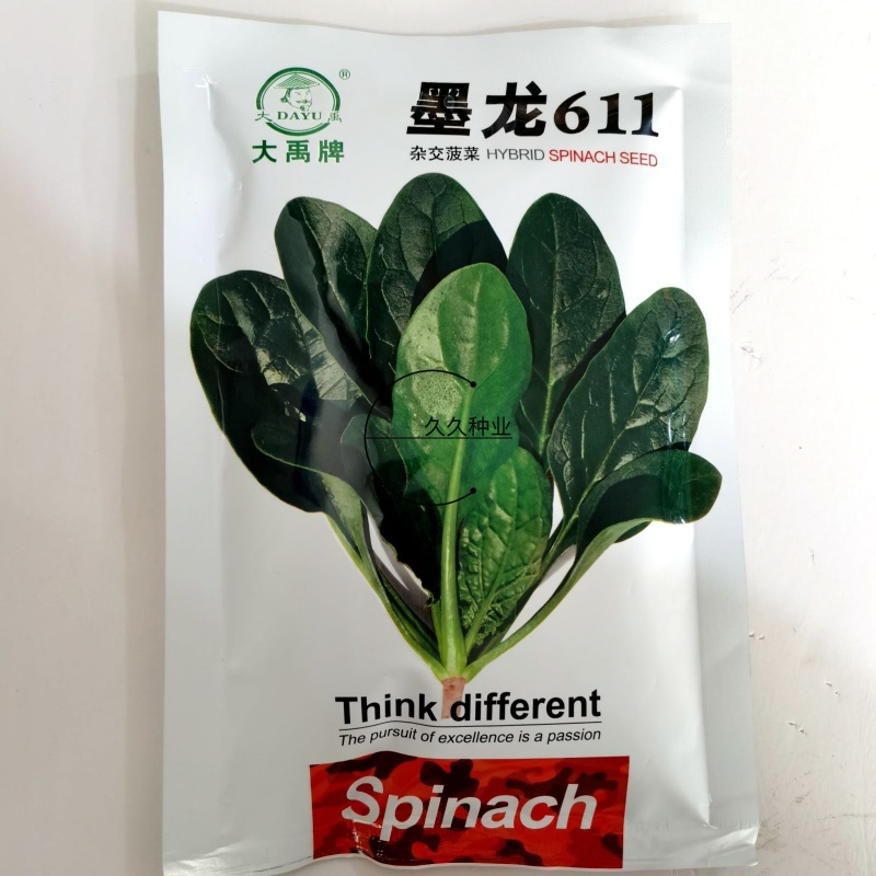 大禹牌墨龙611杂交耐热大叶直立菠菜种子红根叶肥厚高产