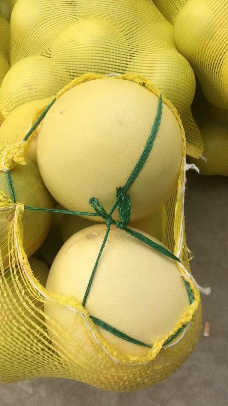 精品密柚，红心柚品种多，保质保量，电商果，市场果大量供应