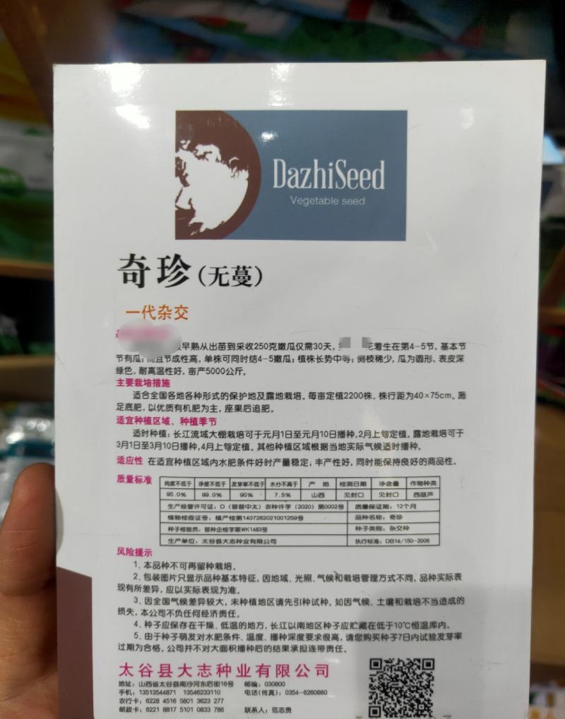 早熟奇珍无蔓西葫芦种子圆西葫芦籽抗热抗病四季种植蔬菜种子